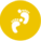 历年获奖